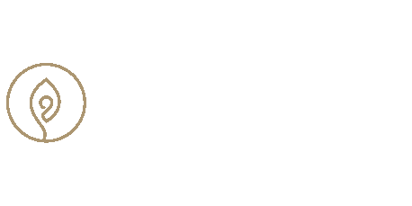 Studio Evasion